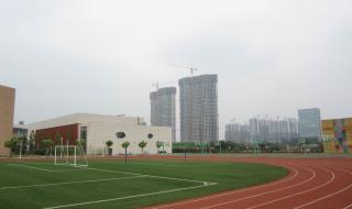 金桥小学怎么样