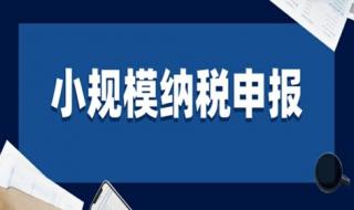 小规模纳税人账务操作流程